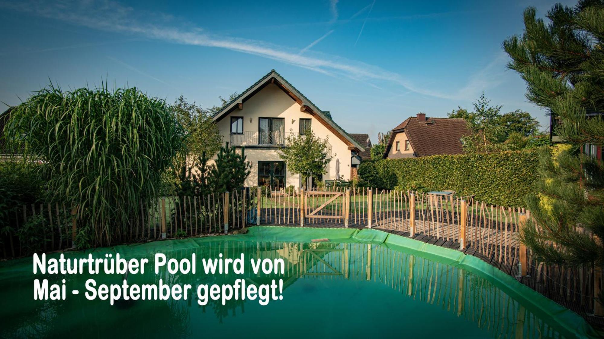 Ferienhaus Mountfrosch Mit Sauna Und Naturpool Μονσάου Εξωτερικό φωτογραφία